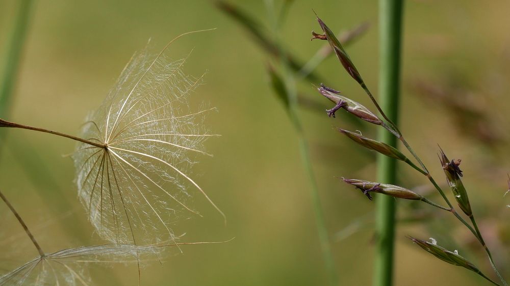 Photograph by Владимир Лобанов