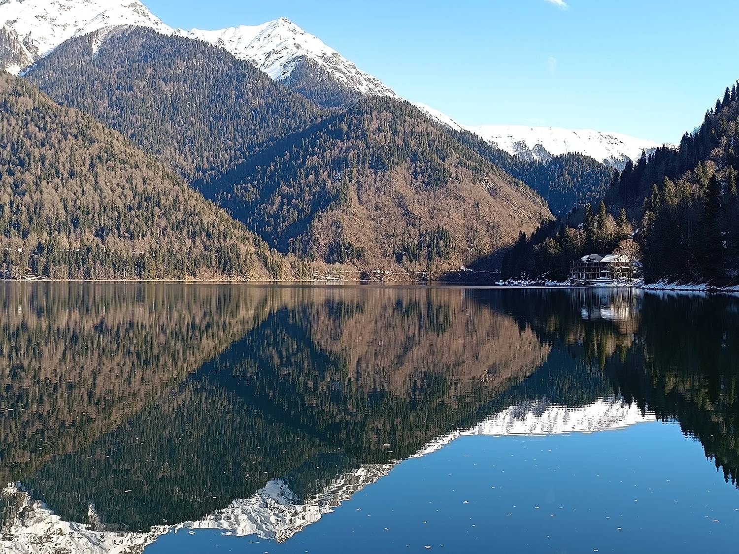 Photo #11855188