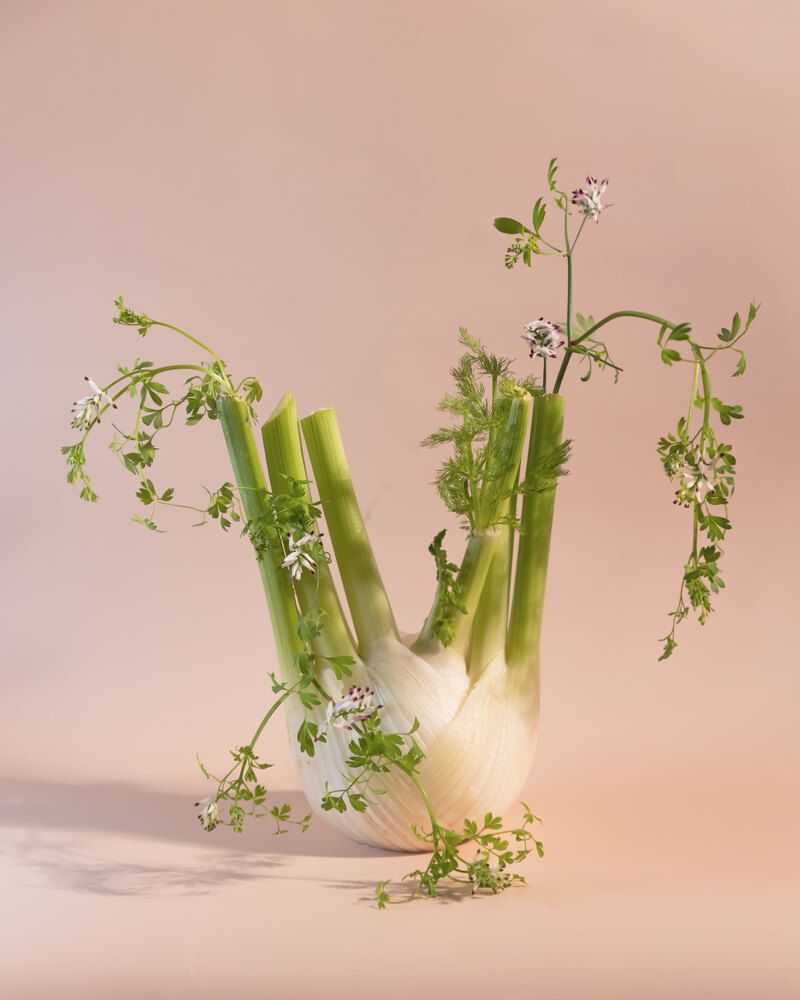 Photograph by Анастасия Тимарг