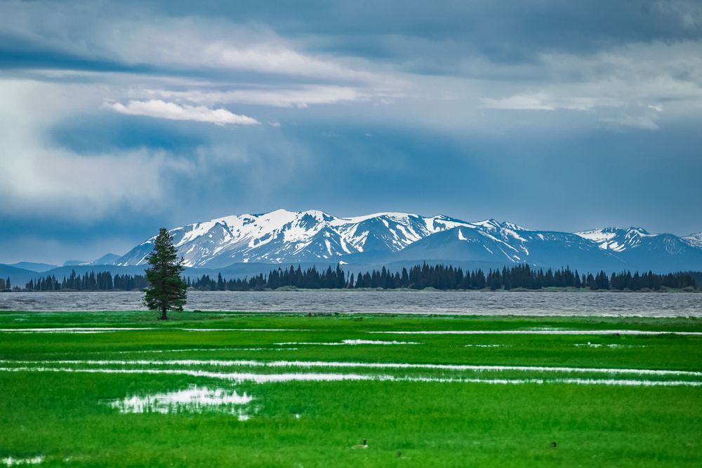 Фотография автора Роман Крижанівський