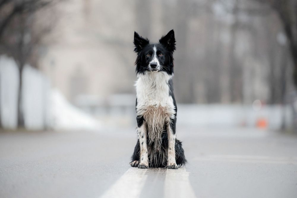 Photograph by Екатерина