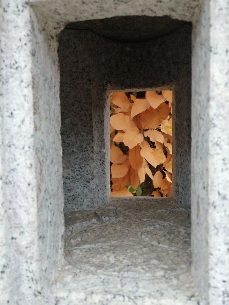 Photograph by Ольга