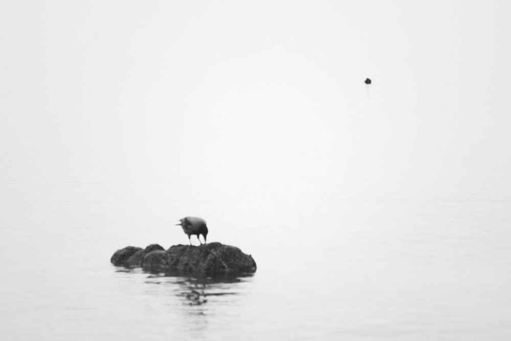 Photograph by Владимир Леликов-Кузьменко