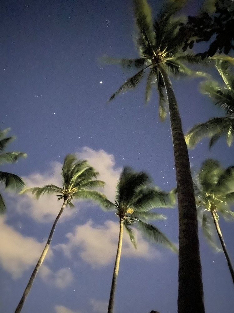 Photograph by Анна Соколова