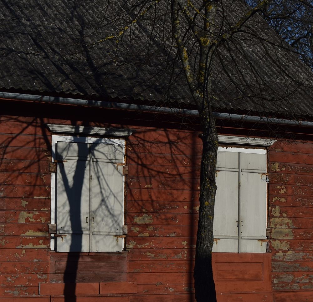 Photograph by Aleksandra Bistrova