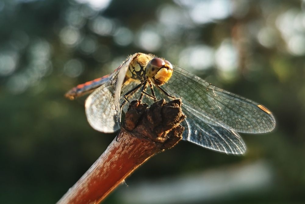 Photograph by Третьякова Анастасия