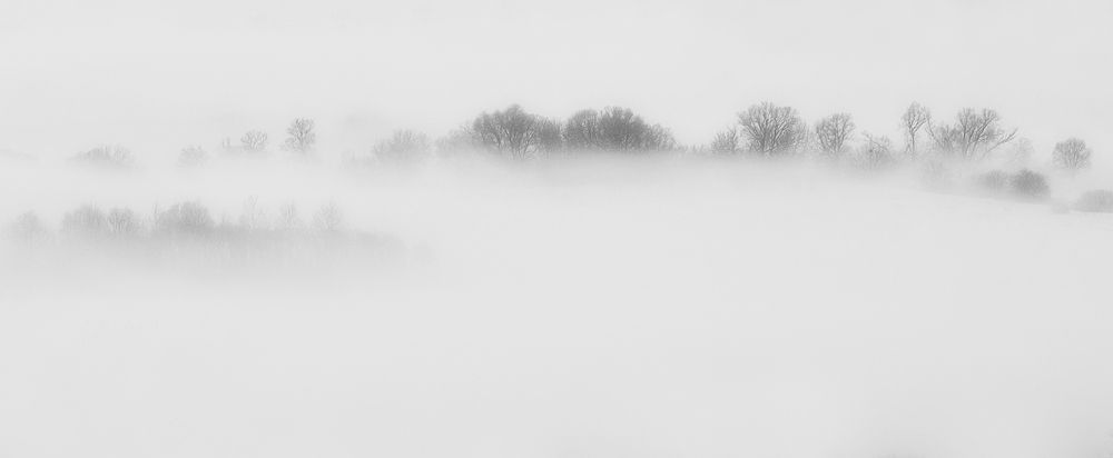 Photograph by Вербицкий Петр