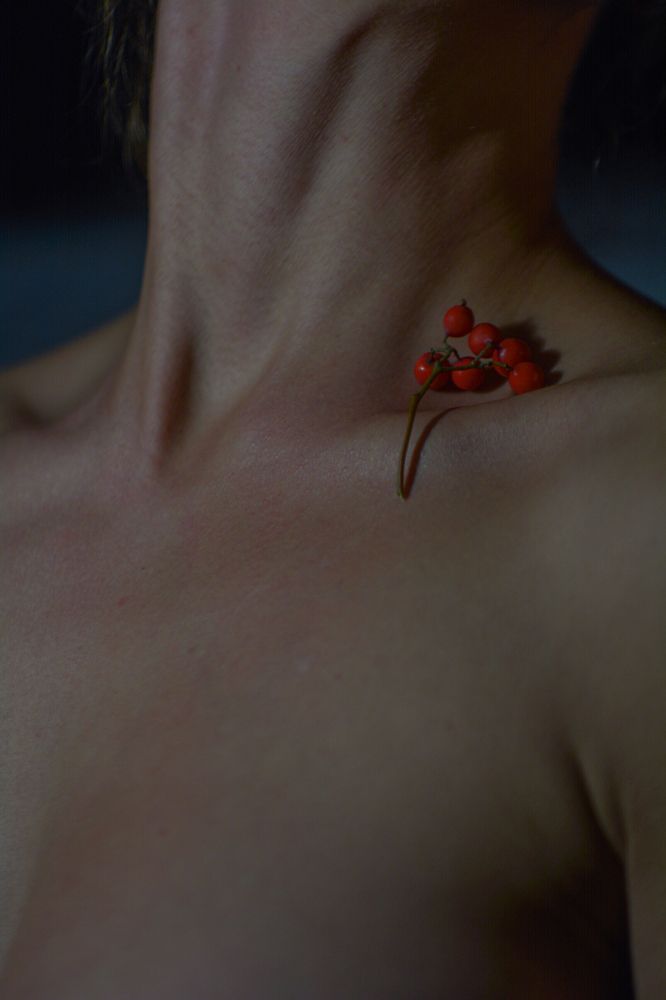 Фотография автора Дмитрий Хань