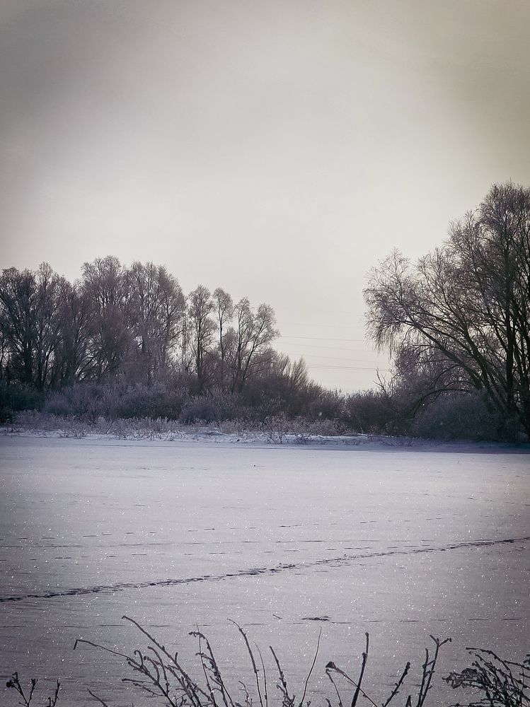 Photograph by Елена Сиушова