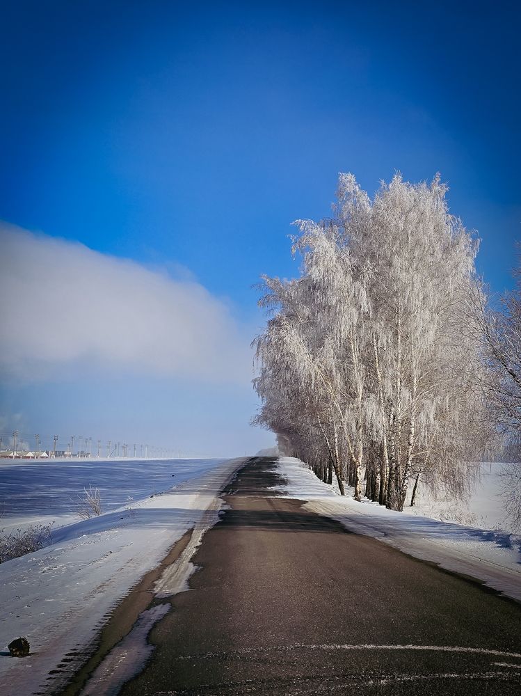 Photograph by Елена Сиушова