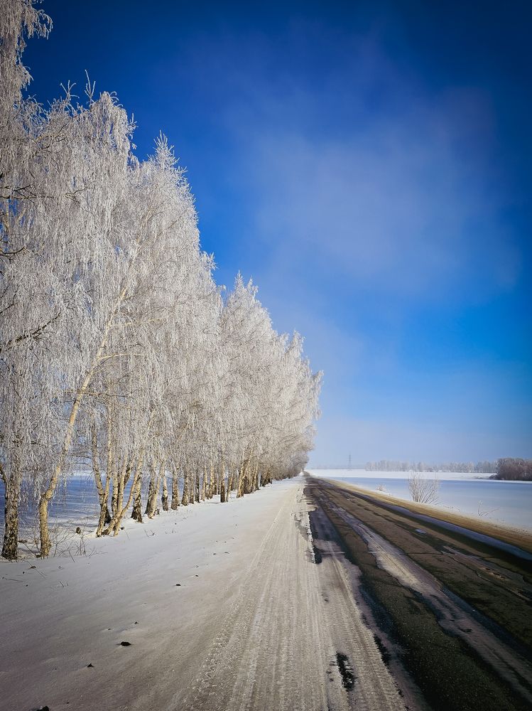 Photograph by Елена Сиушова