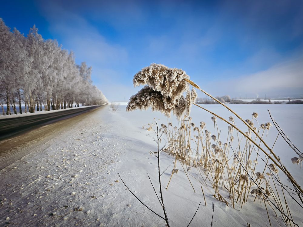 Photograph by Елена Сиушова