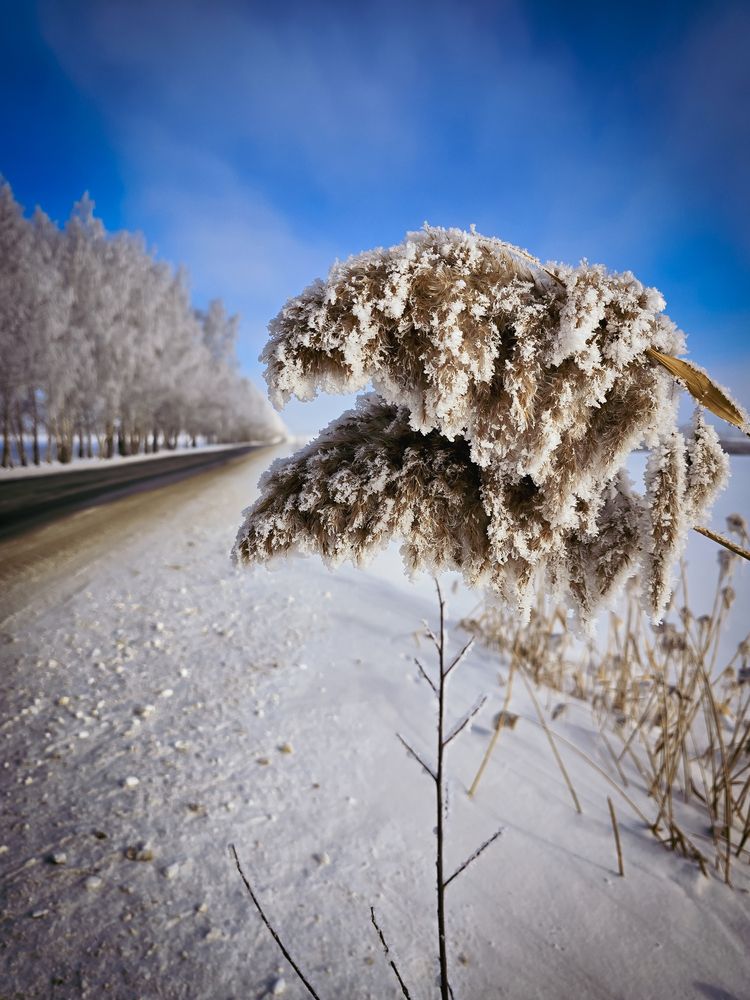 Photograph by Елена Сиушова