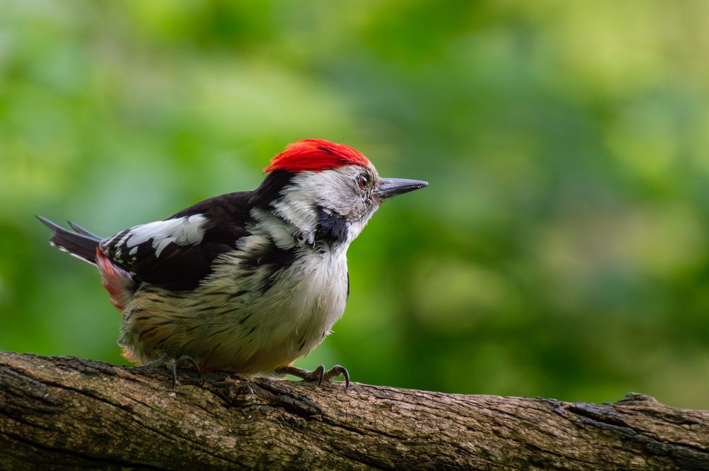 Photograph by Мамсур