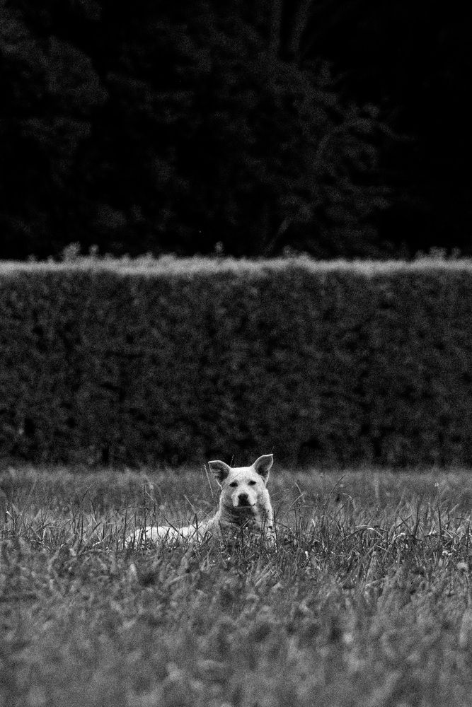 Photograph by Мамсур