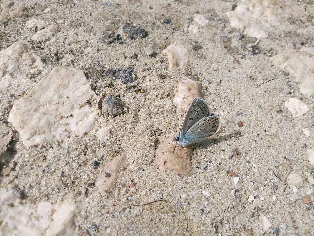 Photograph by Инна Голубева