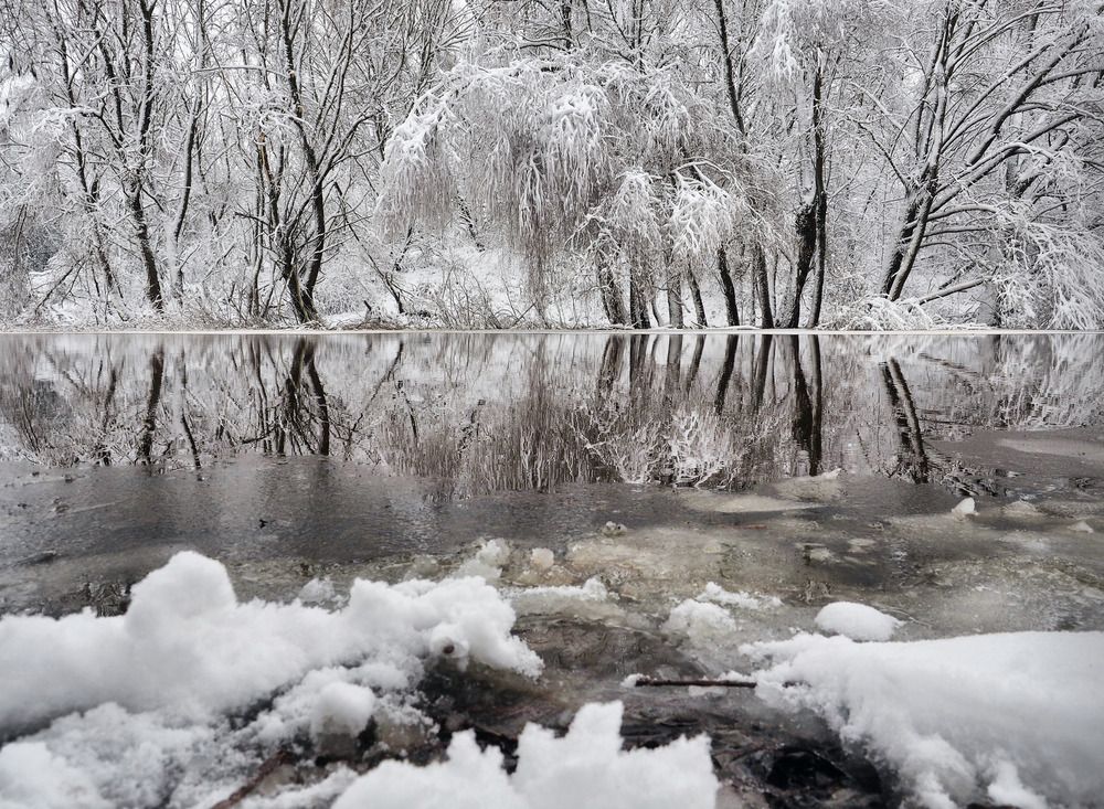 Photograph by Надежда Васильева