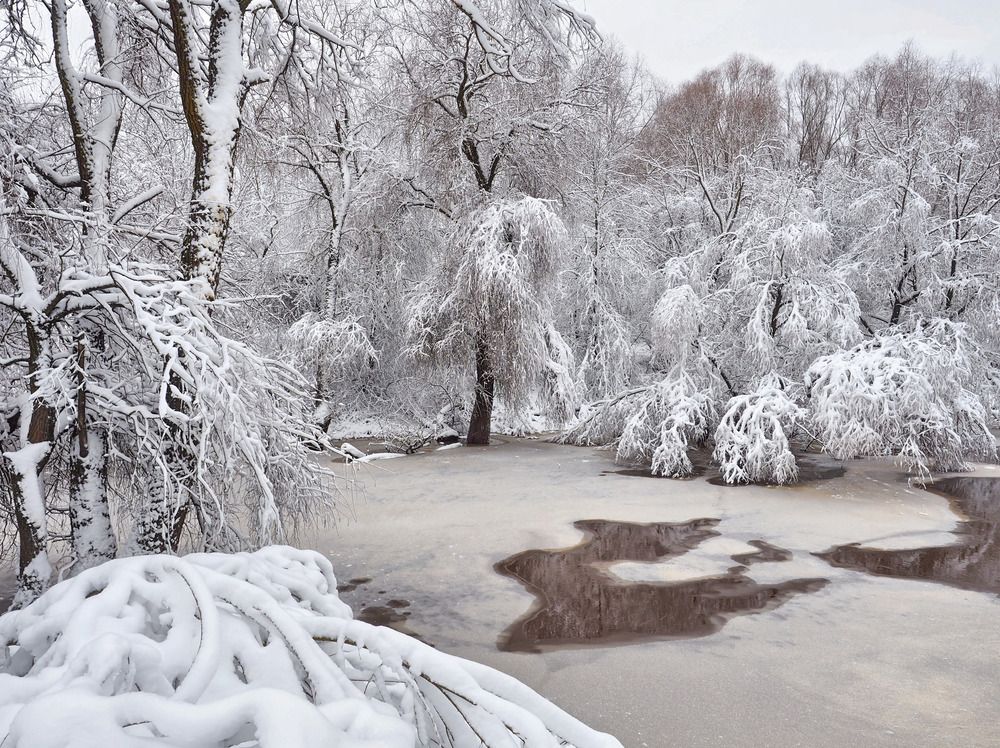 Photograph by Надежда Васильева
