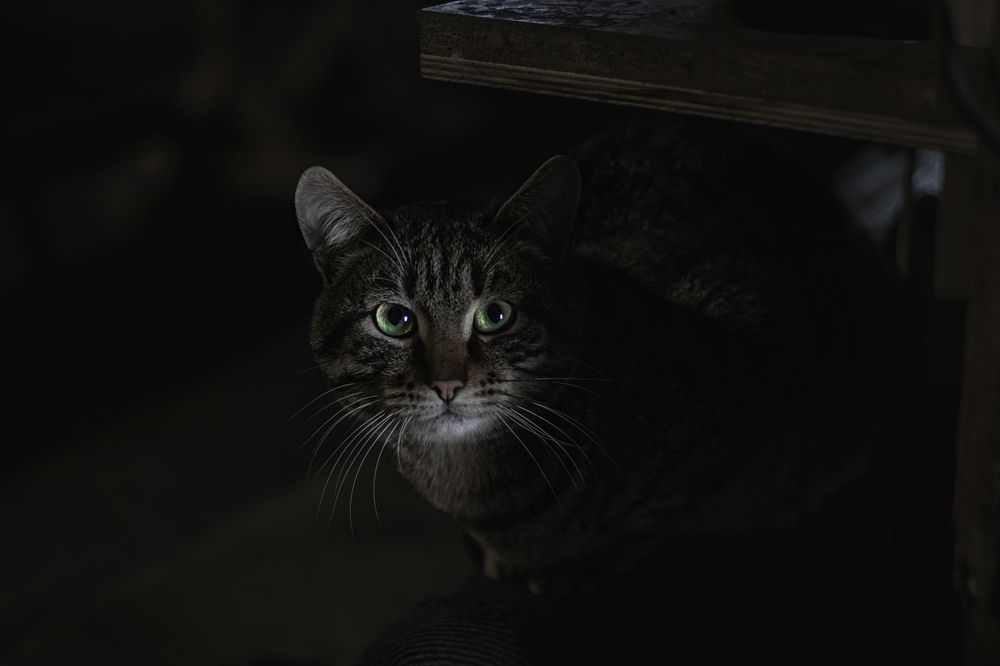 Photograph by Глухарёва Ольга