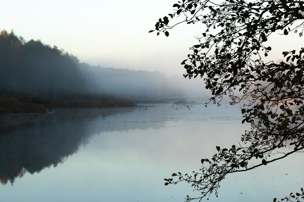 Photograph by Марина Пехтерева