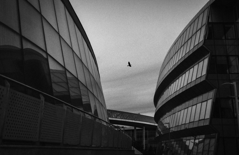 Photograph by Константин Григорьев