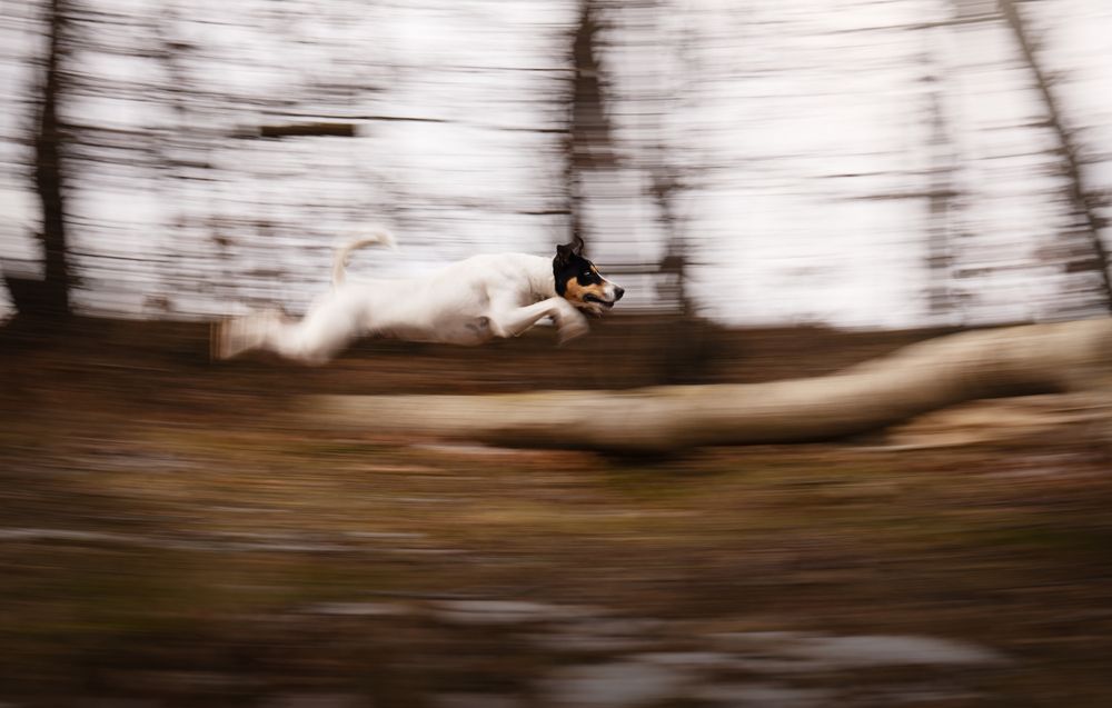 Photograph by Lucía Marín Venegas