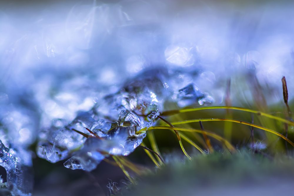 Photograph by Муза Латинская