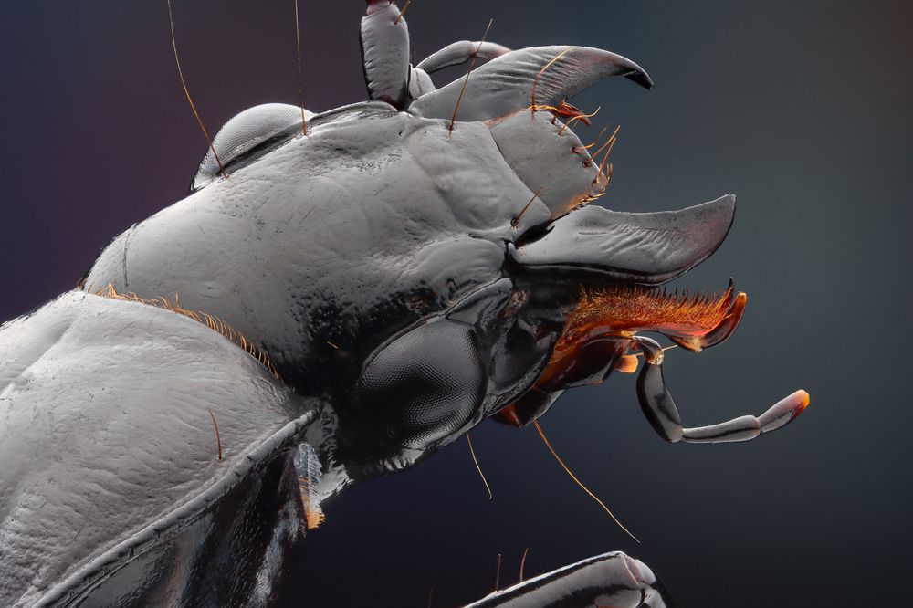 Photograph by Антон Сидоров