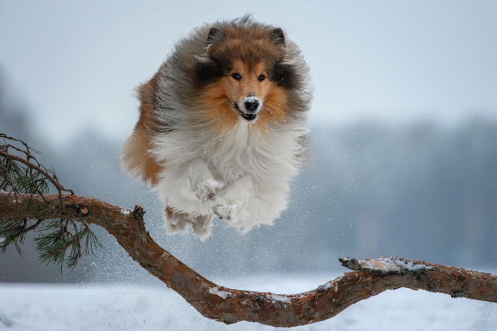 Photograph by Зубкова Юлия