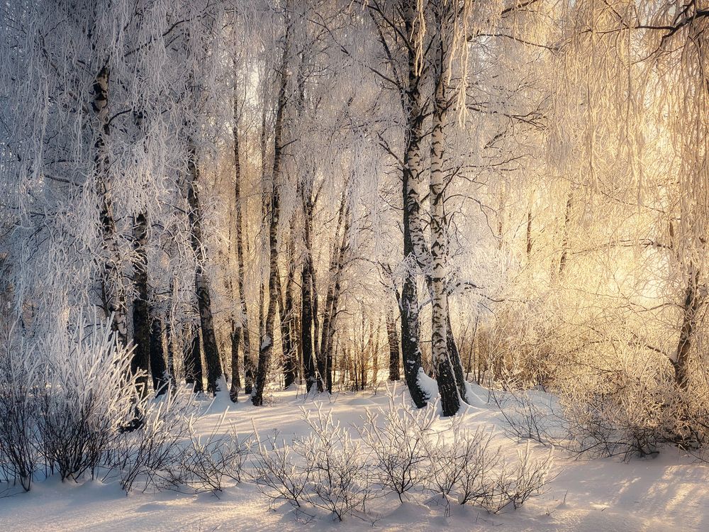 Photograph by Мозжухин Максим