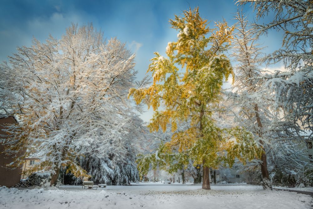 Photograph by Alexey Morkvashentsev