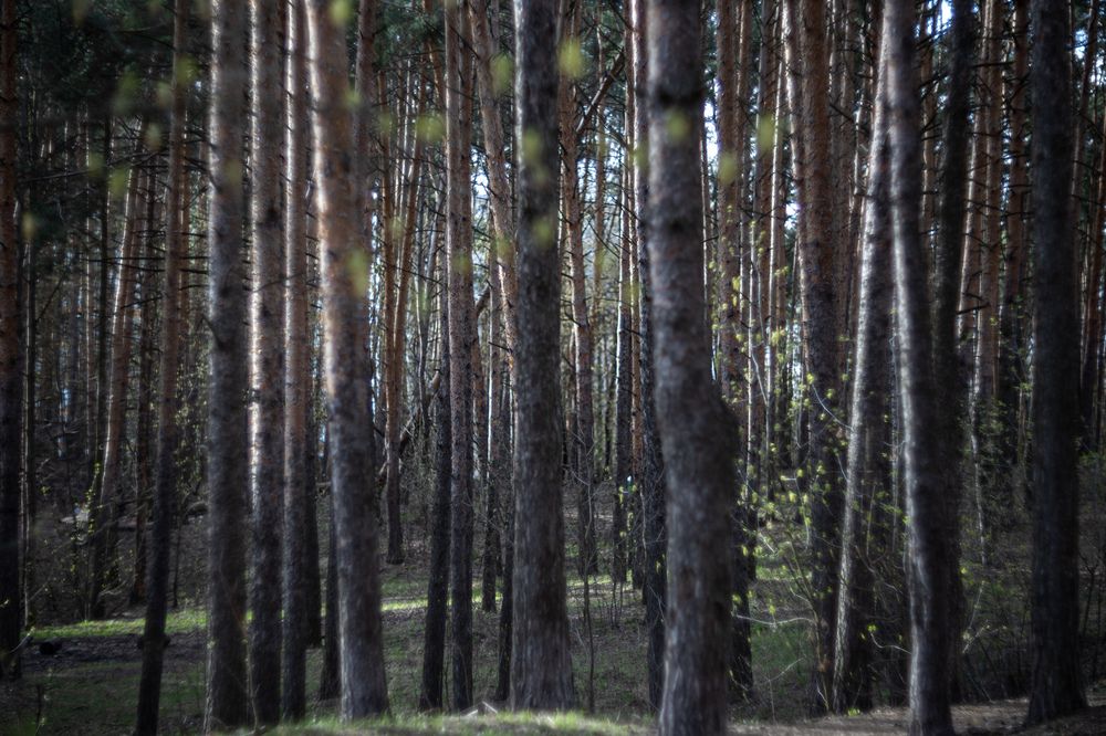 Photograph by Ольга Гирусова