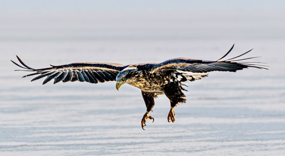 Photograph by Алексей Симонов