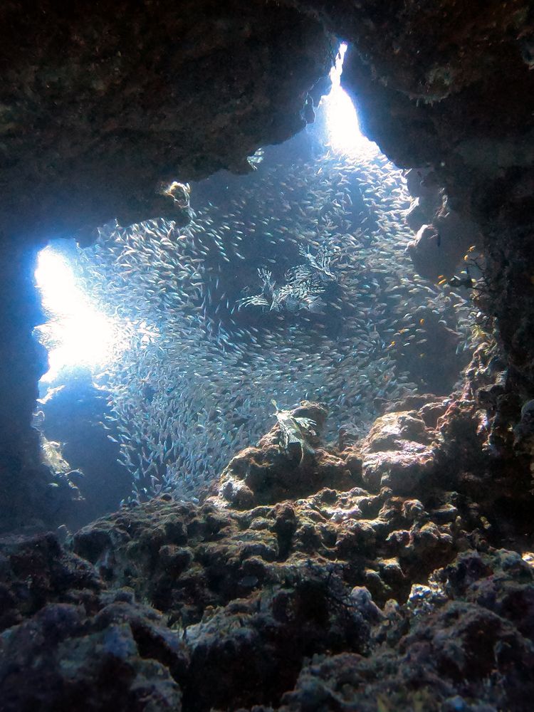 Фотография автора Gozde Karayel