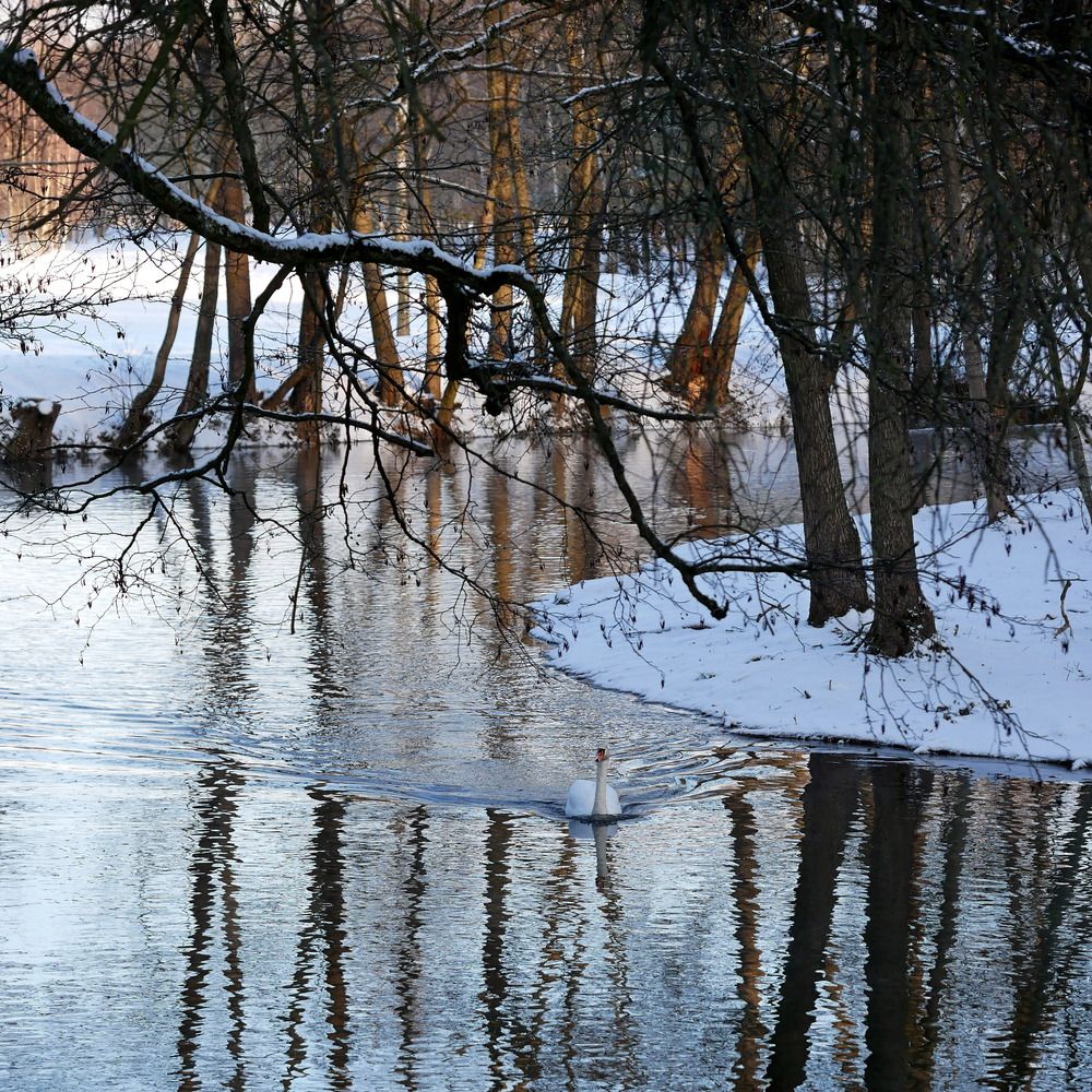Photograph by Наталья Лобанова