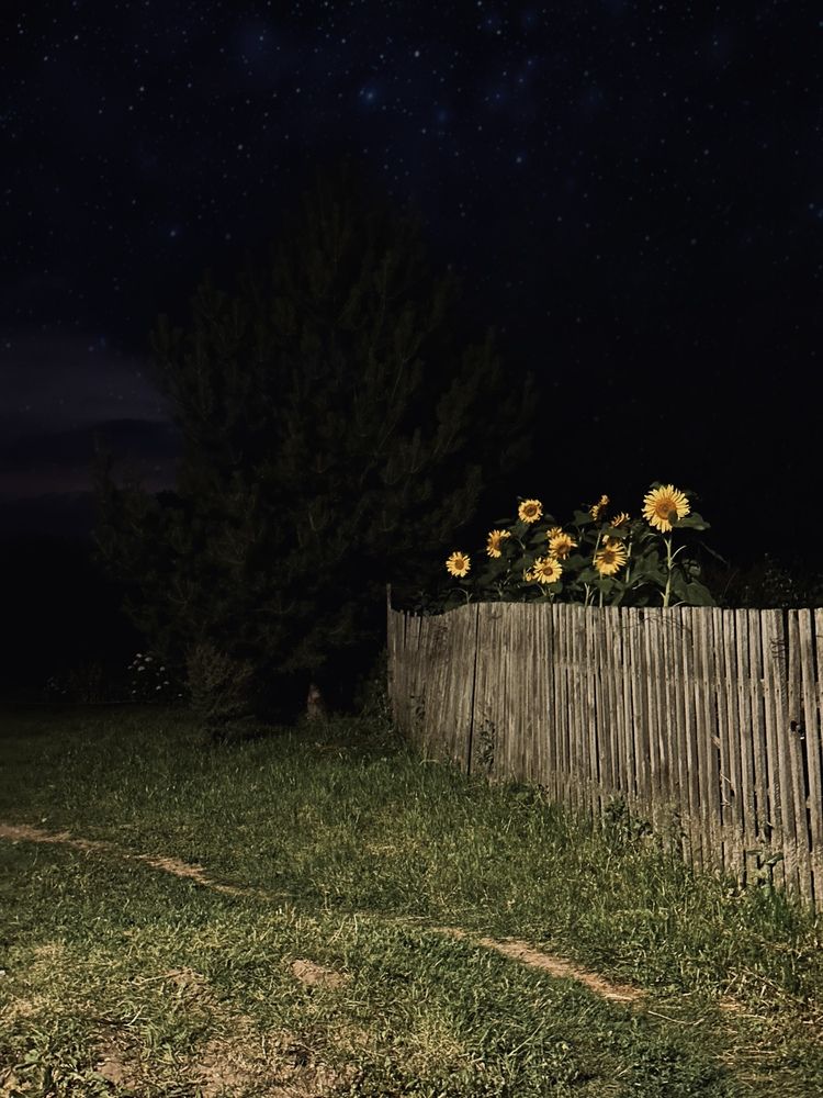 Photograph by Диана Бадеева