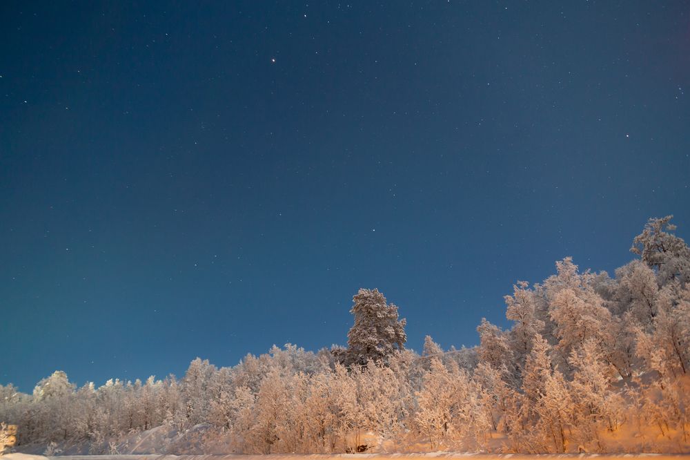 Photograph by Виктория Ковалева