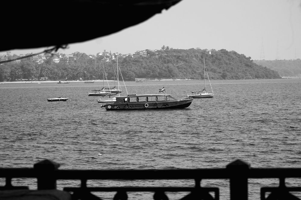 Photograph by Jijo Paul Rosario A