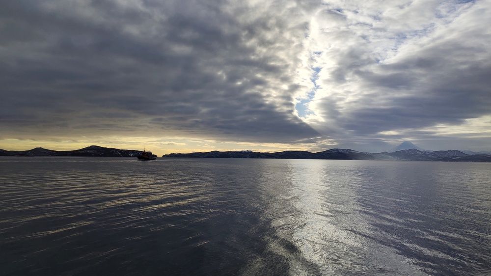 Photo #11855921