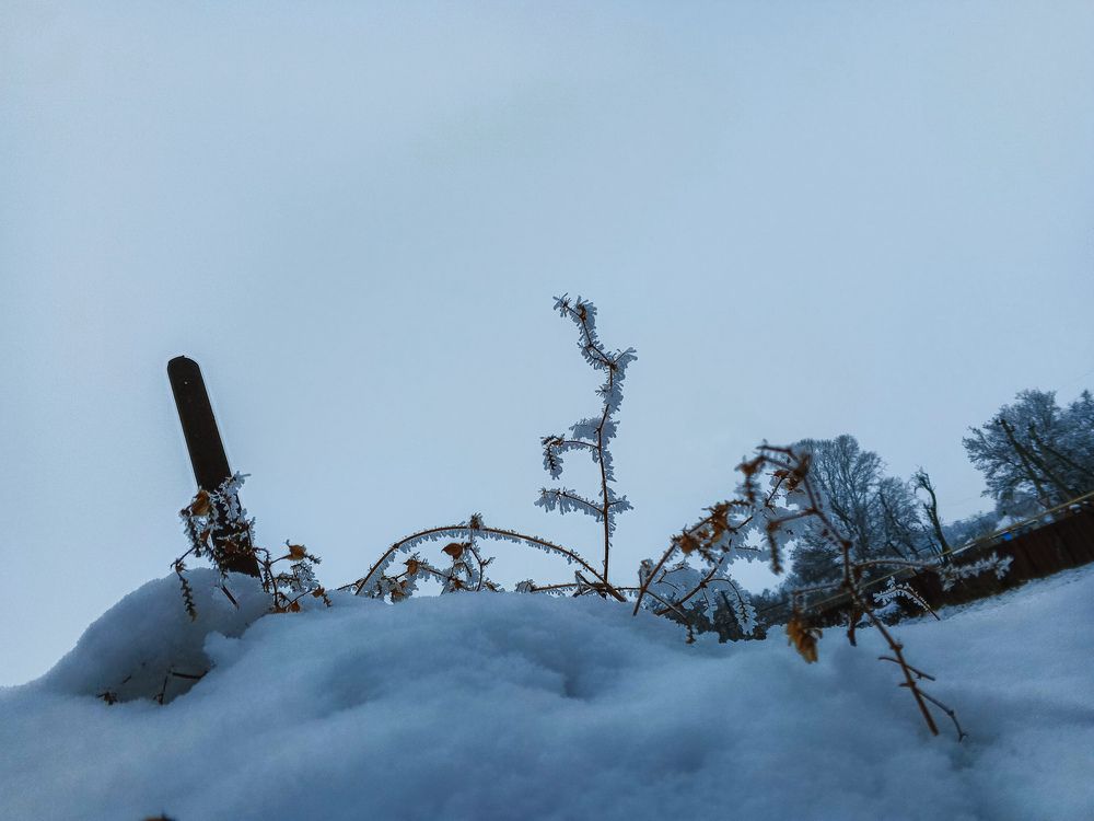 Photo #11855932