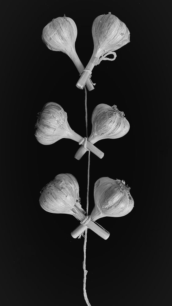 Photograph by Светлана Таркан