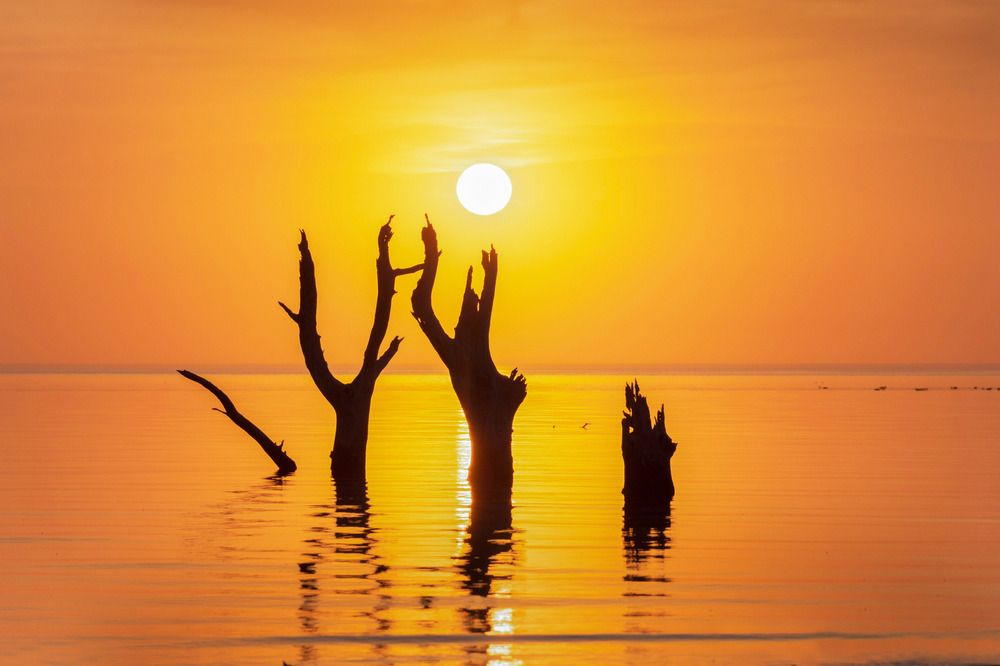 Testigos del tiempo .