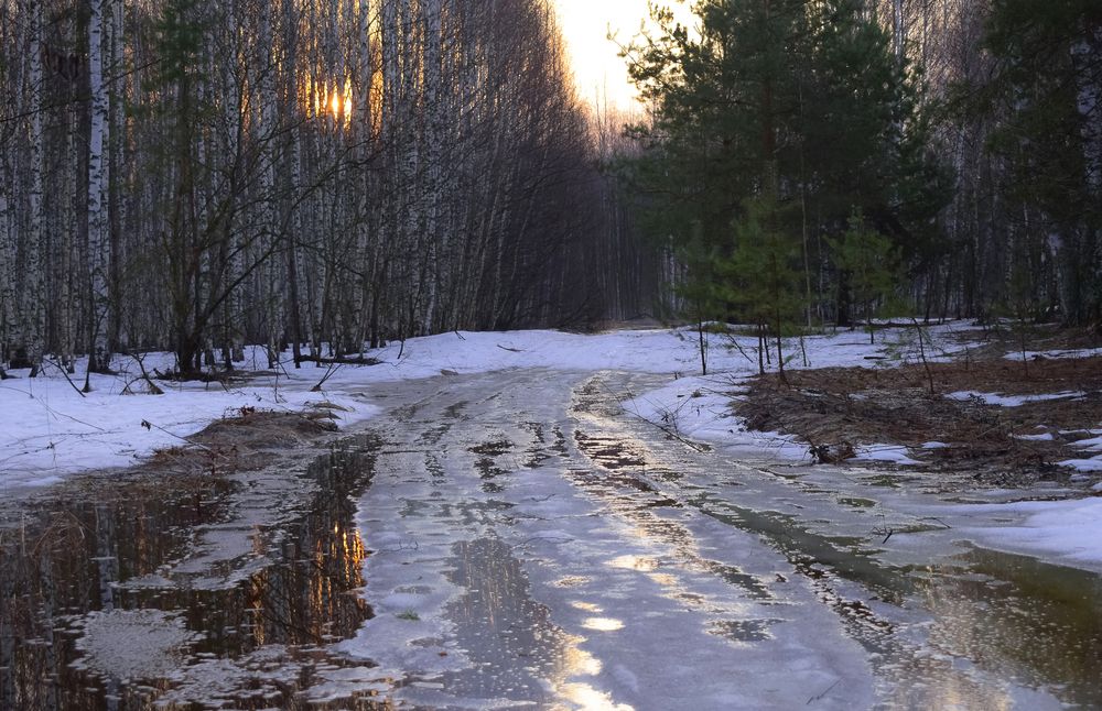 Раняя весна.