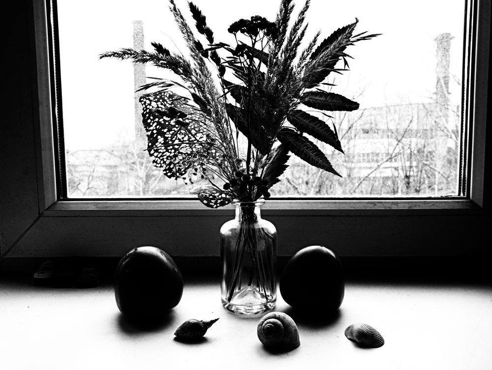 Photo #11856002