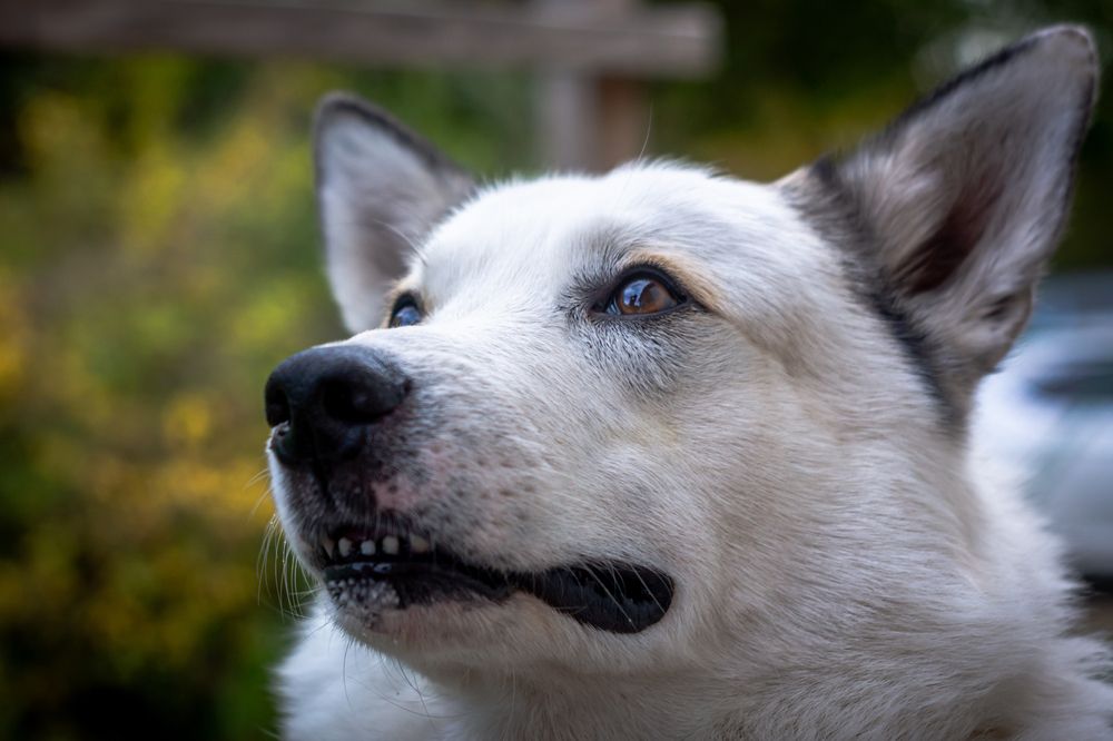 Photograph by Slavcan Vinnikov