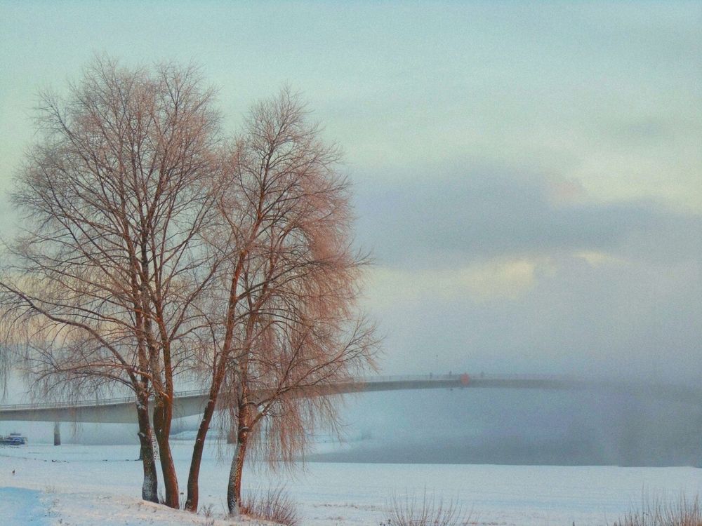 Photograph by Татьяна Иванеева