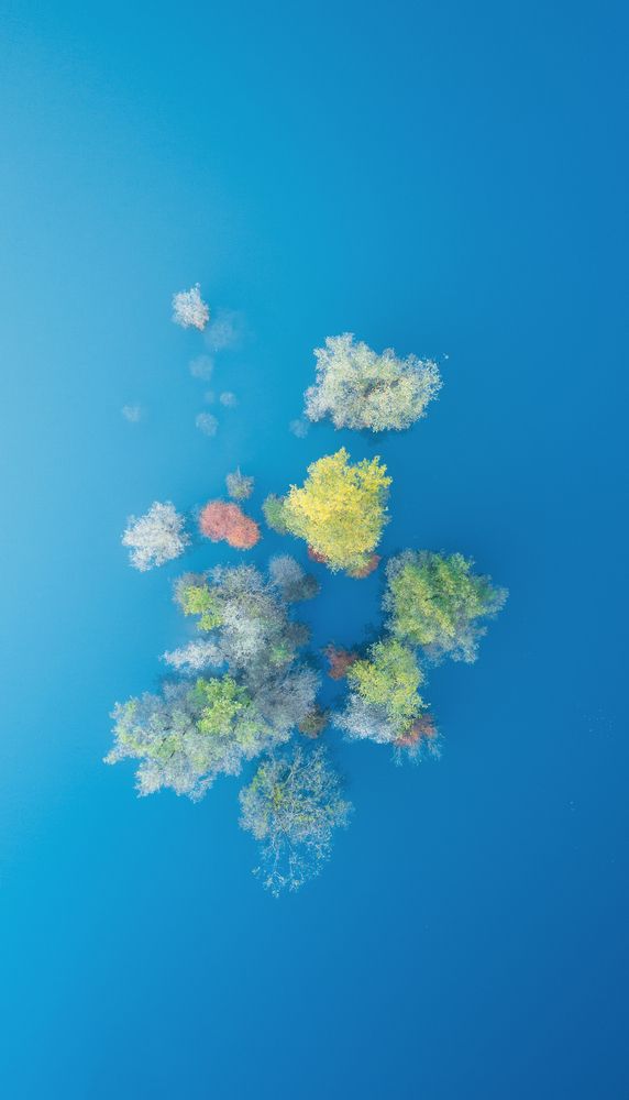 Photograph by Antonello Alò