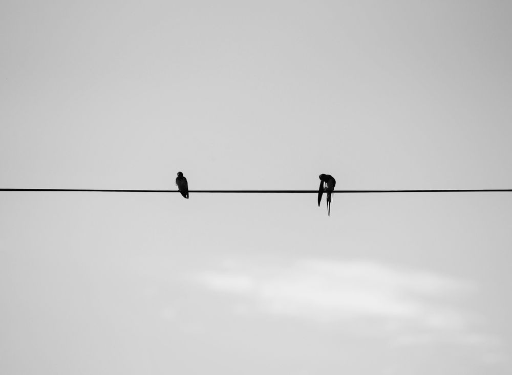 Photograph by Алексей Бобов