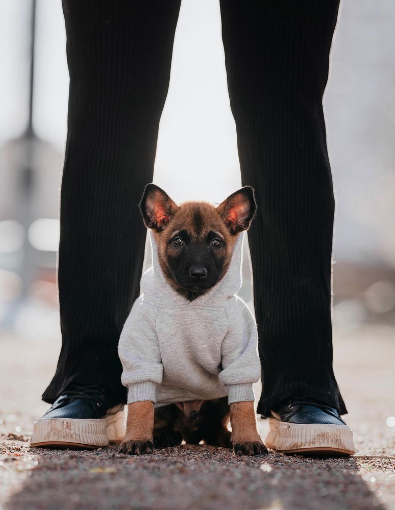 Photograph by Софья Евгеньевна