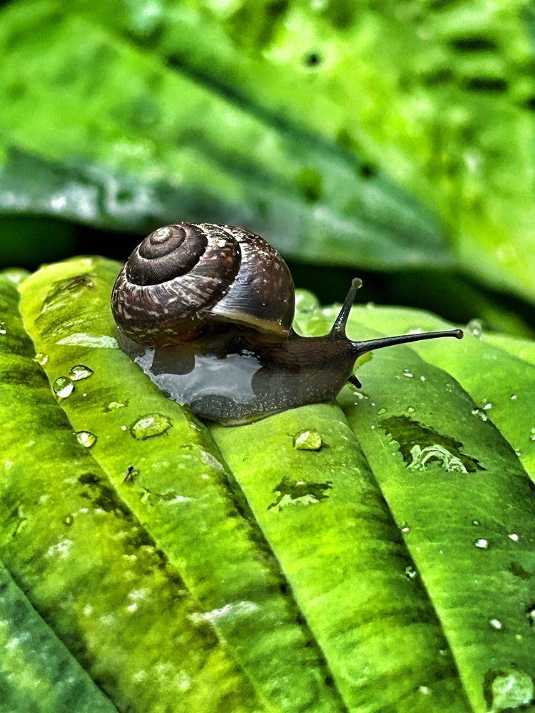 Photograph by Анна Столбова